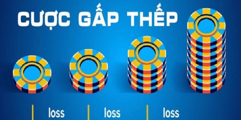 Nguyên tắc của cược gấp thếp là gì?